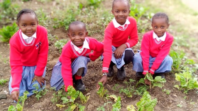 WhatsApp Image 2022-12-02 at 18.38.15